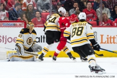 Red Wings vs Boston Bruins Feb 6 2018 (21)