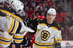 Red Wings vs Boston Bruins Feb 6 2018 (22)
