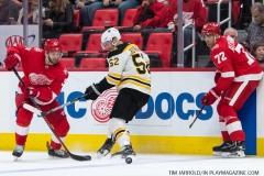 Red Wings vs Boston Bruins Feb 6 2018 (23)