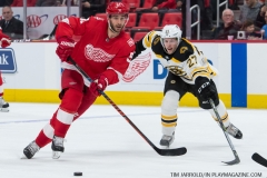 Red Wings vs Boston Bruins Feb 6 2018 (24)