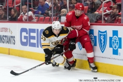 Red Wings vs Boston Bruins Feb 6 2018 (25)