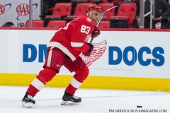 Red Wings vs Boston Bruins Feb 6 2018 (26)