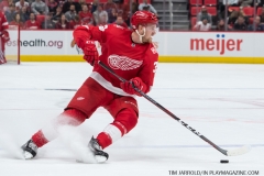 Red Wings vs Boston Bruins Feb 6 2018 (27)