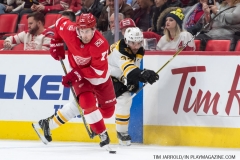 Red Wings vs Boston Bruins Feb 6 2018 (28)