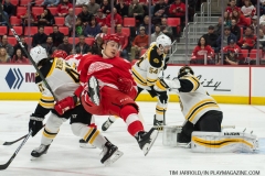 Red Wings vs Boston Bruins Feb 6 2018 (31)