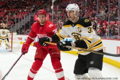Red Wings vs Boston Bruins Feb 6 2018 (32)