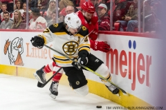 Red Wings vs Boston Bruins Feb 6 2018 (33)