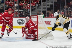 Red Wings vs Boston Bruins Feb 6 2018 (39)