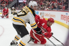 Red Wings vs Boston Bruins Feb 6 2018 (41)