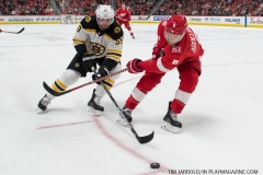 Red Wings vs Boston Bruins Feb 6 2018 (42)