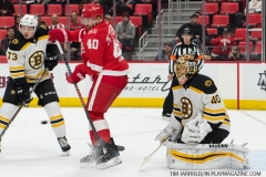 Red Wings vs Boston Bruins Feb 6 2018 (48)