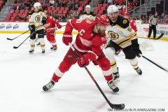 Red Wings vs Boston Bruins Feb 6 2018 (49)