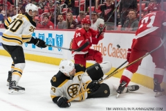 Red Wings vs Boston Bruins Feb 6 2018 (55)