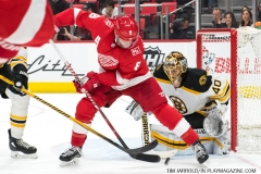 Red Wings vs Boston Bruins Feb 6 2018 (56)
