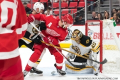 Red Wings vs Boston Bruins Feb 6 2018 (57)