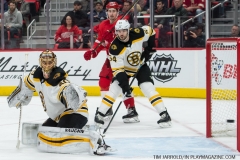 Red Wings vs Boston Bruins Feb 6 2018 (7)