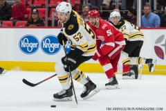 Red Wings vs Boston Bruins Feb 6 2018 (8)