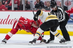 Red Wings vs Boston Bruins Feb 6 2018 (9)
