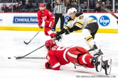 Bruins-at-Detroit-Red-Wings-February-9-2020-10