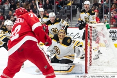 Bruins-at-Detroit-Red-Wings-February-9-2020-11