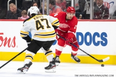 Bruins-at-Detroit-Red-Wings-February-9-2020-20