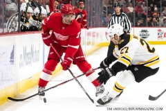 Bruins-at-Detroit-Red-Wings-February-9-2020-22