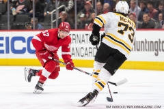 Bruins-at-Detroit-Red-Wings-February-9-2020-23