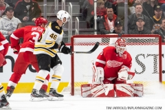 Bruins-at-Detroit-Red-Wings-February-9-2020-24