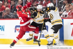 Bruins-at-Detroit-Red-Wings-February-9-2020-26