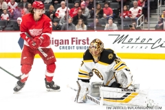 Bruins-at-Detroit-Red-Wings-February-9-2020-27