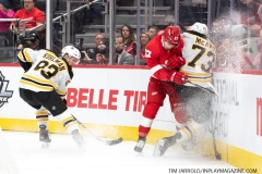 Bruins-at-Detroit-Red-Wings-February-9-2020-3