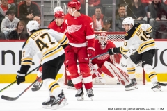 Bruins-at-Detroit-Red-Wings-February-9-2020-31