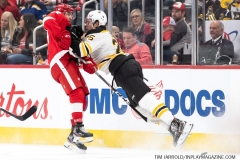 Bruins-at-Detroit-Red-Wings-February-9-2020-32