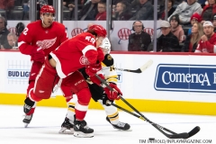 Bruins-at-Detroit-Red-Wings-February-9-2020-33