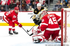 Bruins-at-Detroit-Red-Wings-February-9-2020-40