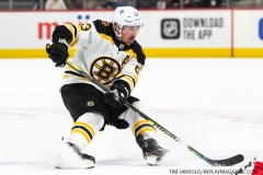 Bruins-at-Detroit-Red-Wings-February-9-2020-47