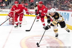 Bruins-at-Detroit-Red-Wings-February-9-2020-7
