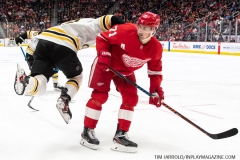 Bruins-at-Detroit-Red-Wings-February-9-2020-8