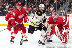 Bruins-at-Detroit-Red-Wings-February-9-2020-9