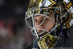 Bruins-vs-Red-Wings-March-31-2019-1