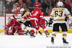 Bruins-vs-Red-Wings-March-31-2019-15