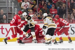 Bruins-vs-Red-Wings-March-31-2019-16