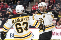 Bruins-vs-Red-Wings-March-31-2019-25