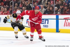 Bruins-vs-Red-Wings-March-31-2019-31