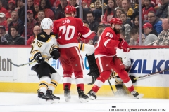 Bruins-vs-Red-Wings-March-31-2019-32