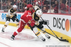 Bruins-vs-Red-Wings-March-31-2019-39