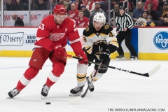 Bruins-vs-Red-Wings-March-31-2019-41