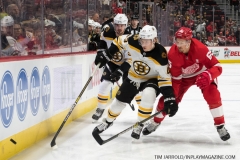 Bruins-vs-Red-Wings-March-31-2019-48