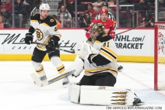 Bruins-vs-Red-Wings-March-31-2019-8