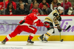 Boston-Bruins-vs-Detroit-Red-Wings-November-8-2019-12